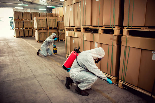 Best Pest Control for Homes  in Reston, VA