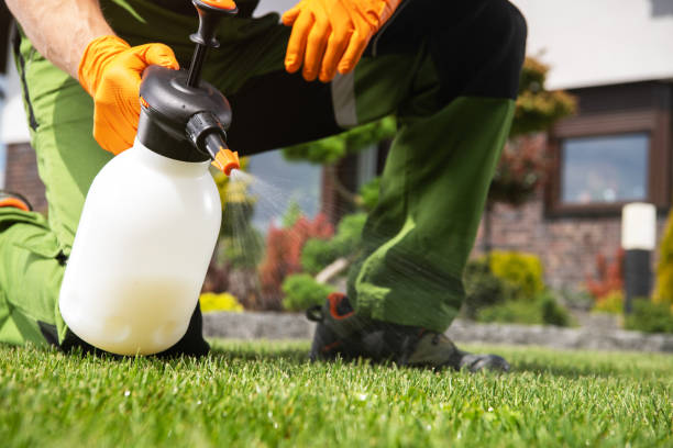Best Best Pest Control Companies  in Reston, VA