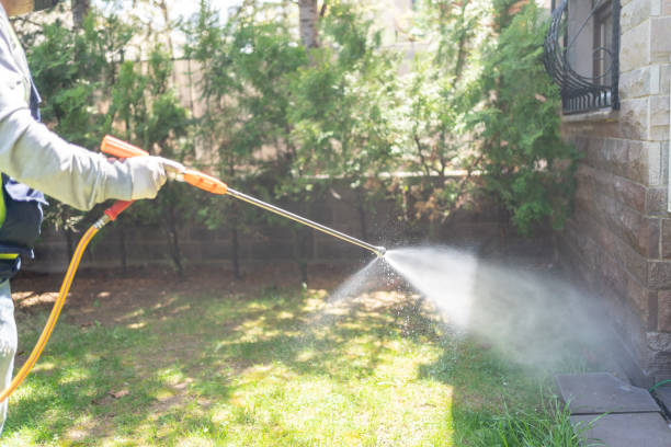 Best Mosquito Control Services  in Reston, VA
