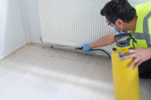 Best Pest Control Treatment  in Reston, VA