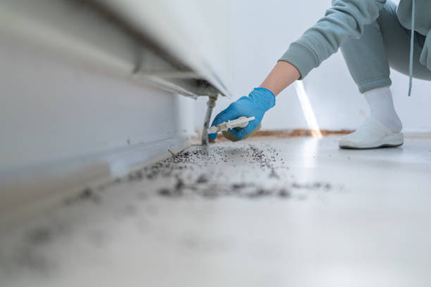 Best Affordable Pest Control Services  in Reston, VA