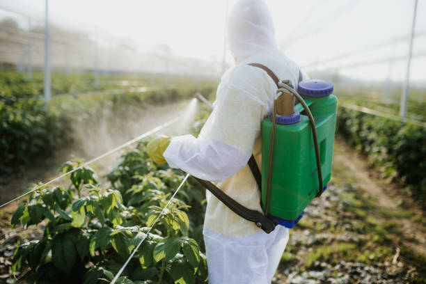 Pest Prevention Services in Reston, VA
